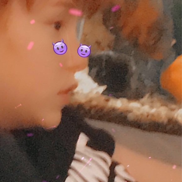 Meet your Posher, Logan - Picture 1 of 1